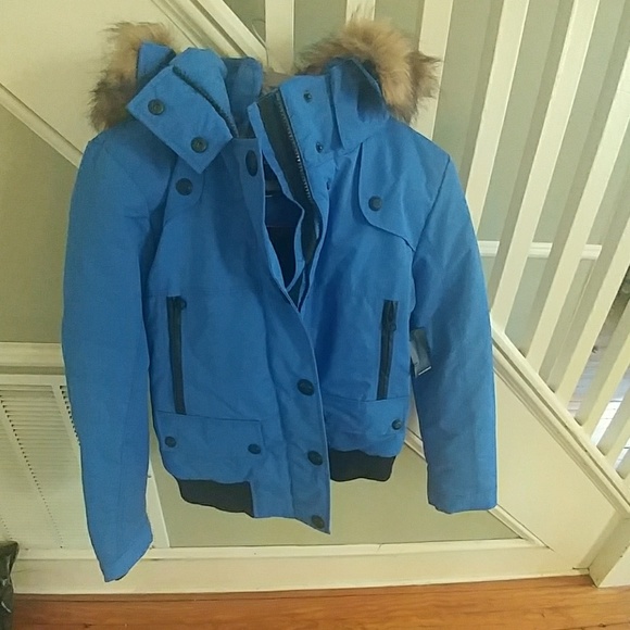 cobalt blue short jackets